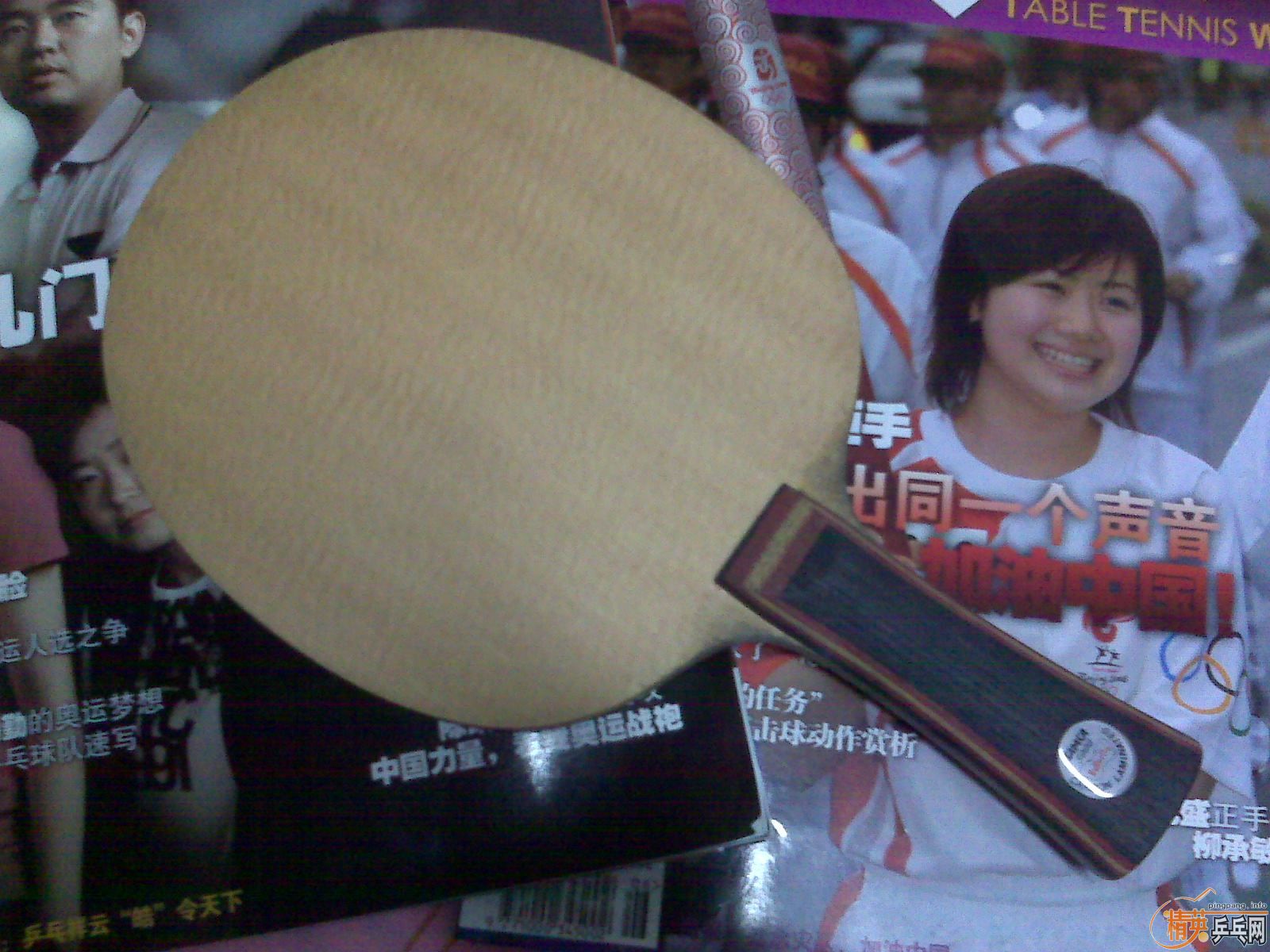 ��Ʒ������FL��Viscaria�����ܻ�ʲô��