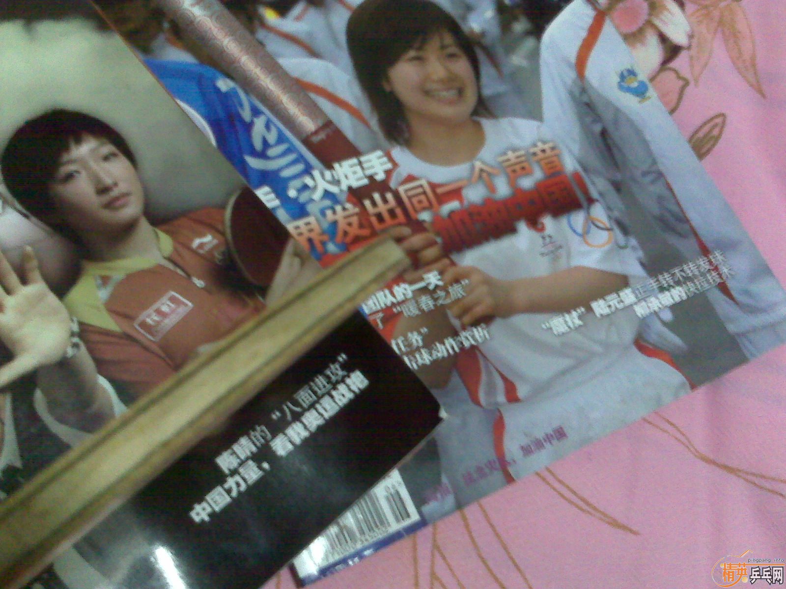 ��Ʒ������FL��Viscaria�����ܻ�ʲô��