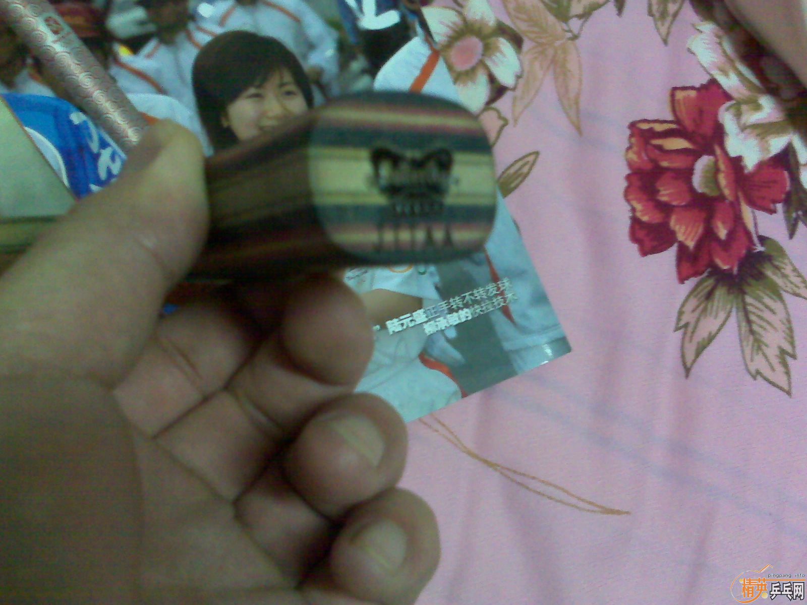 ��Ʒ������FL��Viscaria�����ܻ�ʲô��