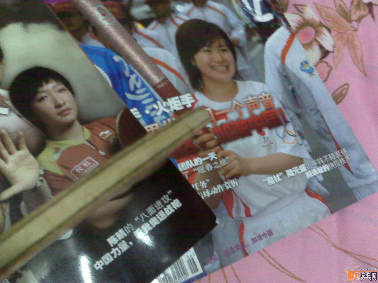 ��Ʒ������FL��Viscaria�����ܻ�ʲô��