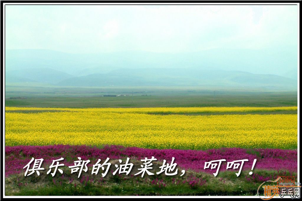 �޵׼۾����鷨��Ʒһ��