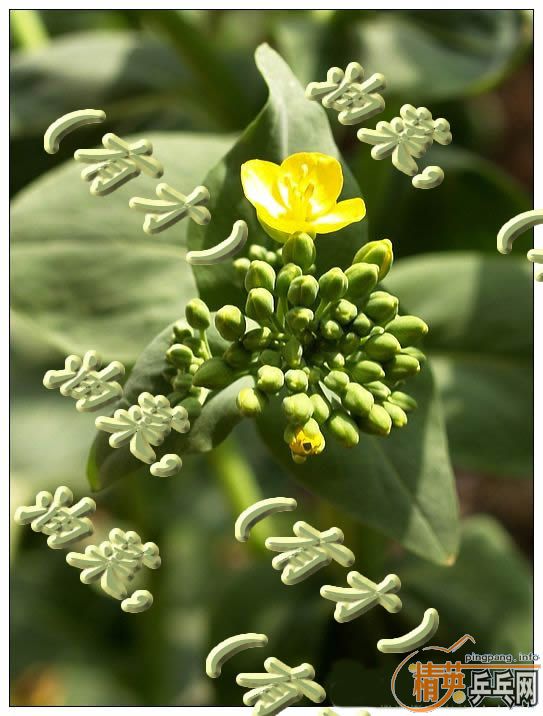 �޵׼۾����鷨��Ʒһ��