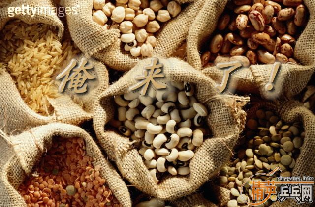 ����ÿ�ձ�������