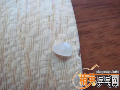 ֧����������ľ