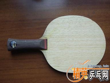 ֧����������ľ