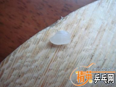 ֧����������ľ