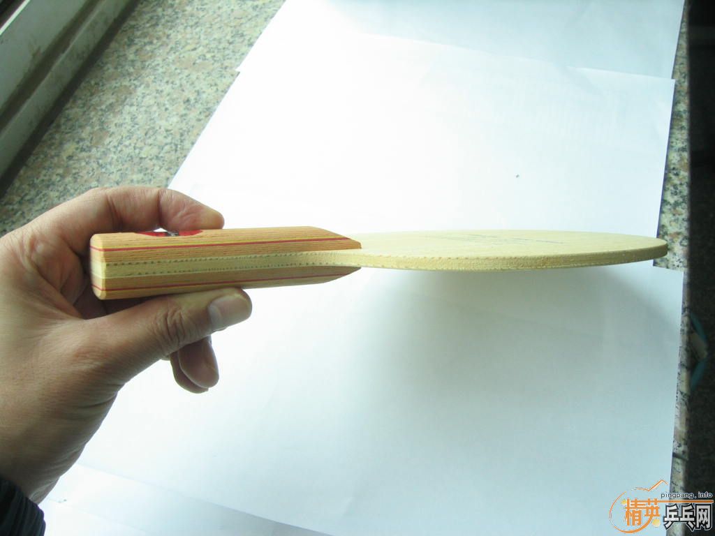 ��avaloxP500��banda scandik��eg��