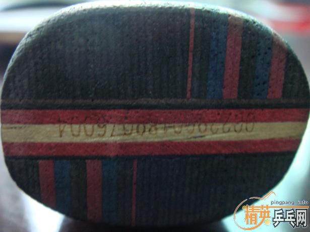 ֧����������ľ