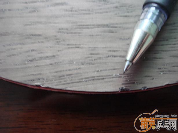 ֧����������ľ