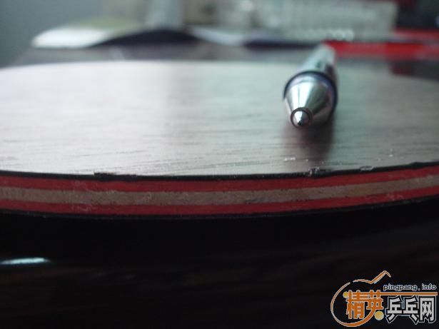 ֧����������ľ