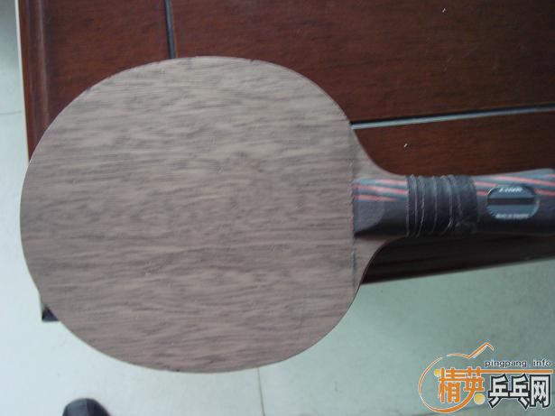 ֧����������ľ