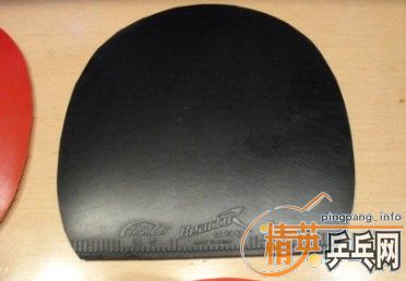 �����׽�������ƹ������