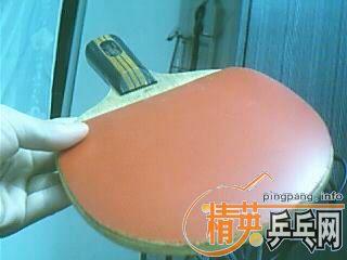 Ϊ��������˳������µ������ͽ�Ƥ