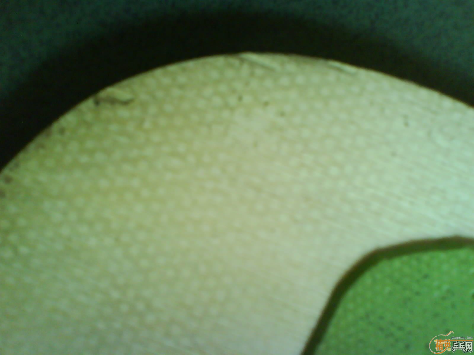 [ԭ��]��������ŵ��140�鲻��,����ɫcj8000