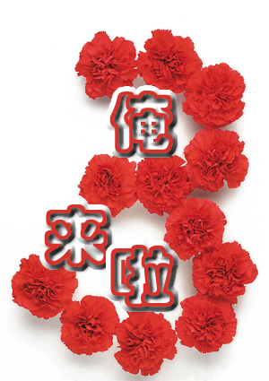 ����ÿ�ձ�������