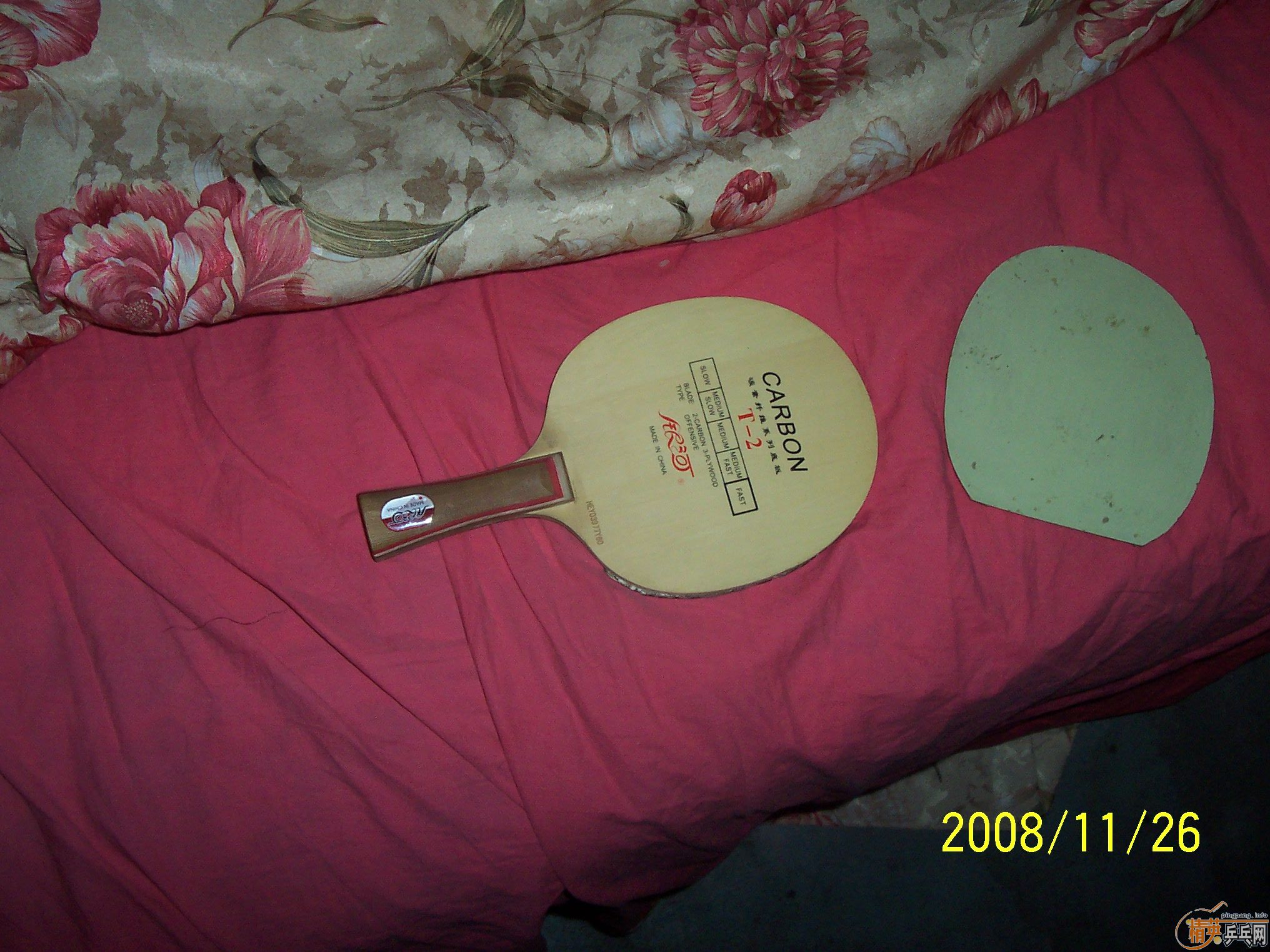 ��������T2����һֻ�����ã�����,������ͼ