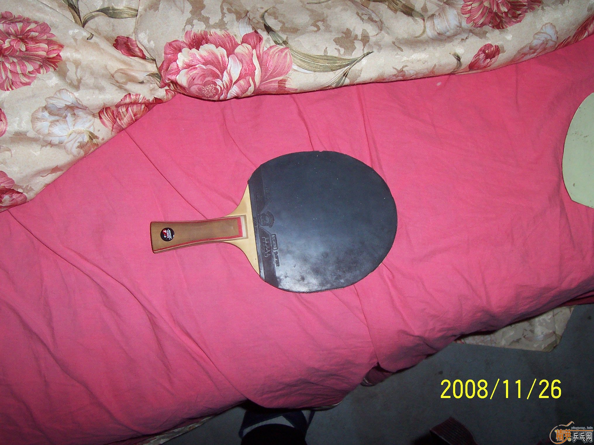 ��������T2����һֻ�����ã�����,������ͼ