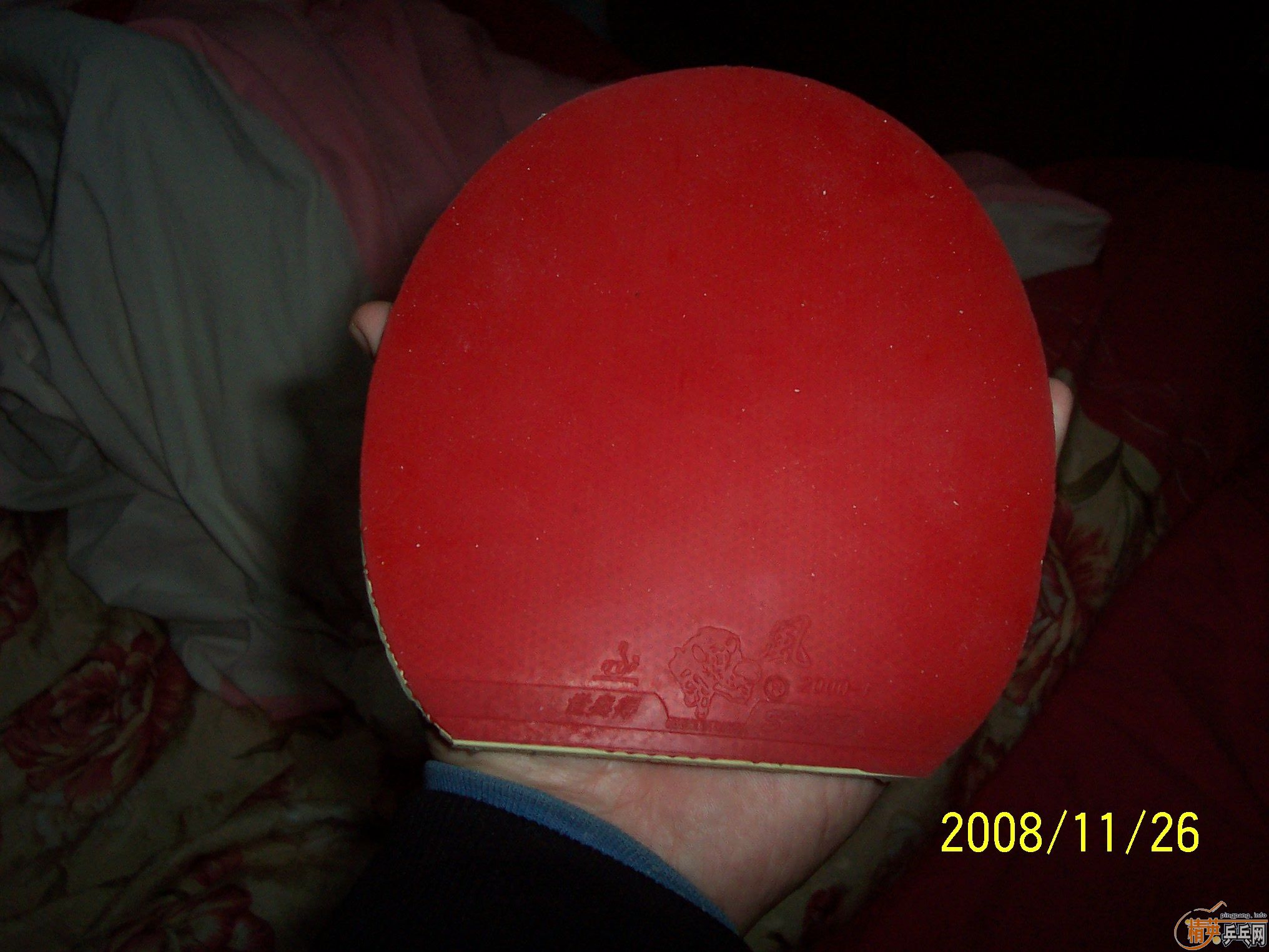 ��������T2����һֻ�����ã�����,������ͼ