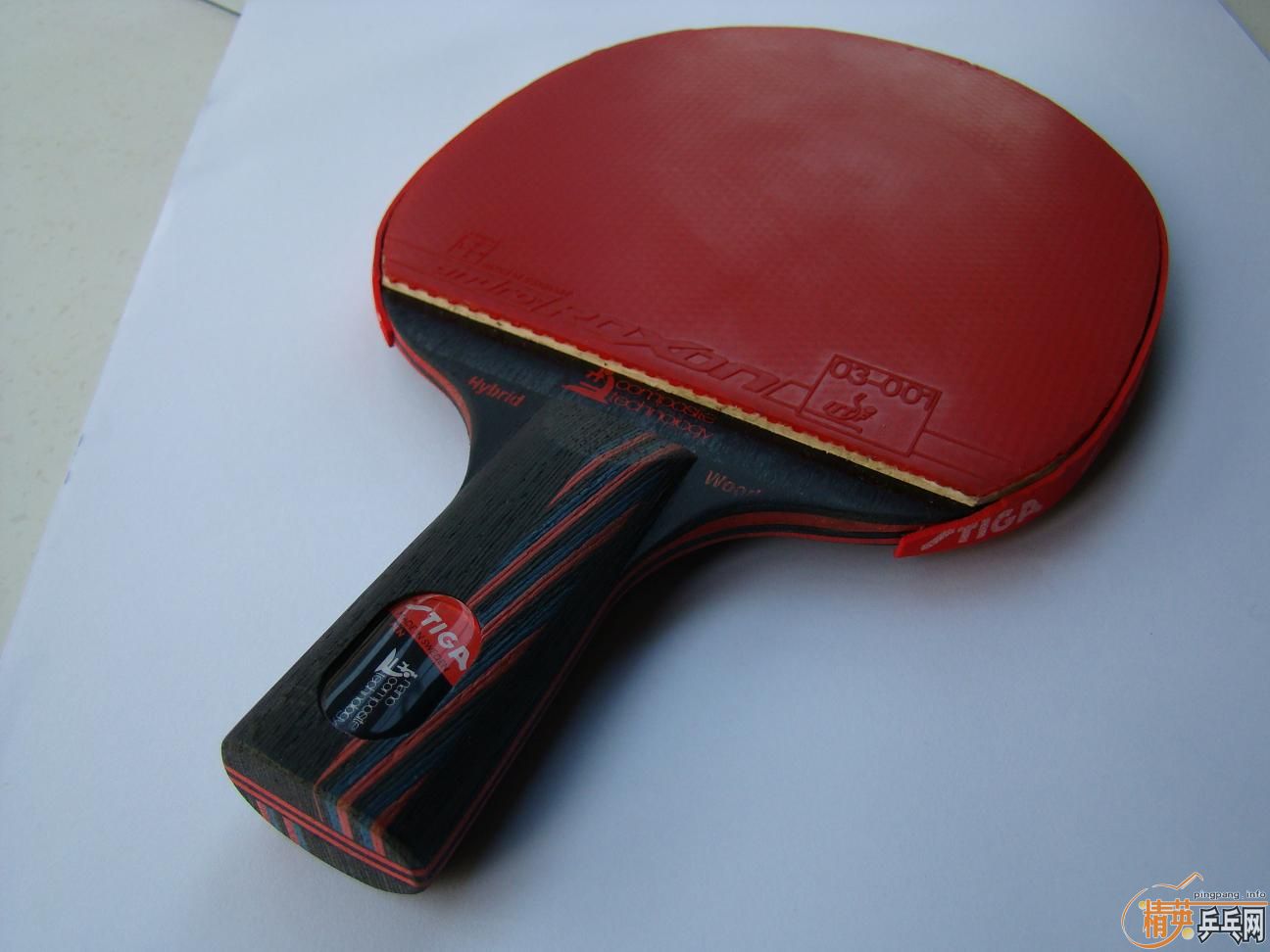 9.8����˹�ۿ�����̼��(ֱ) 600Ԫ��