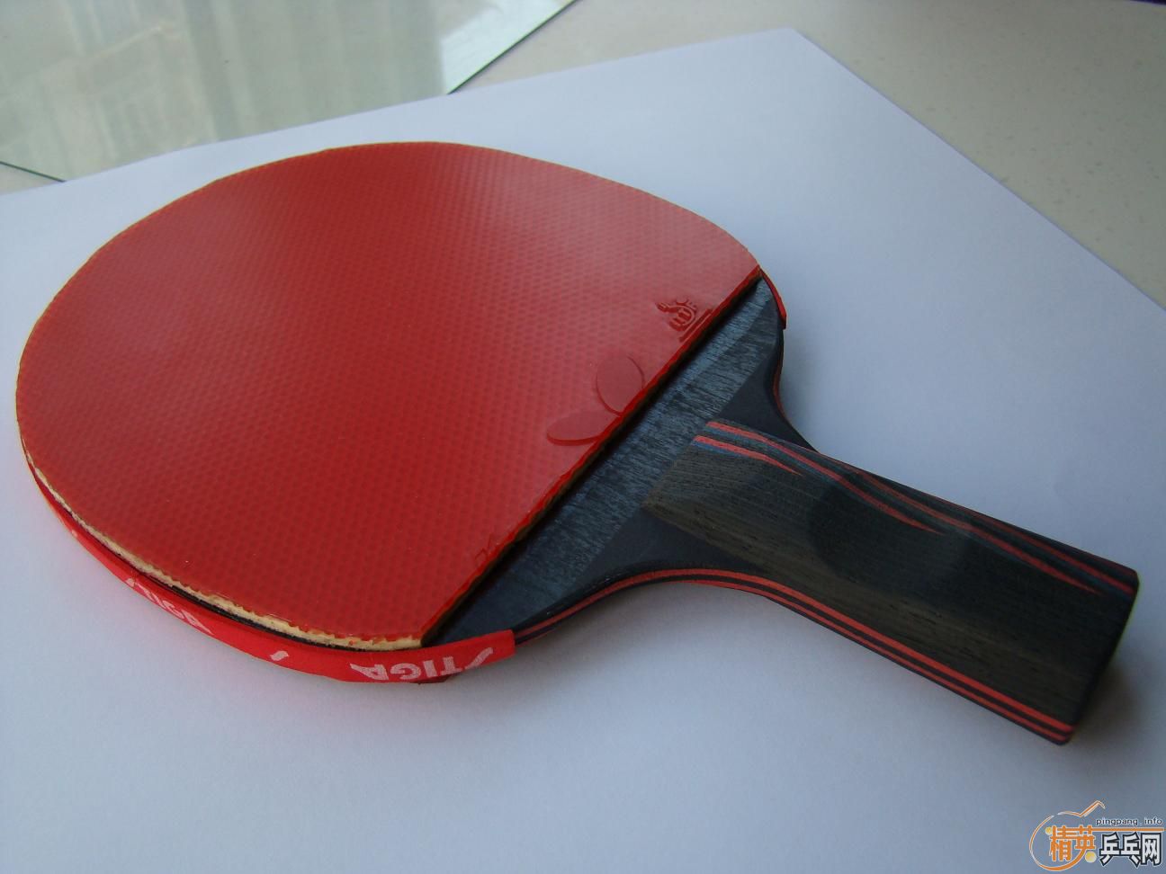 9.8����˹�ۿ�����̼��(ֱ) 600Ԫ��