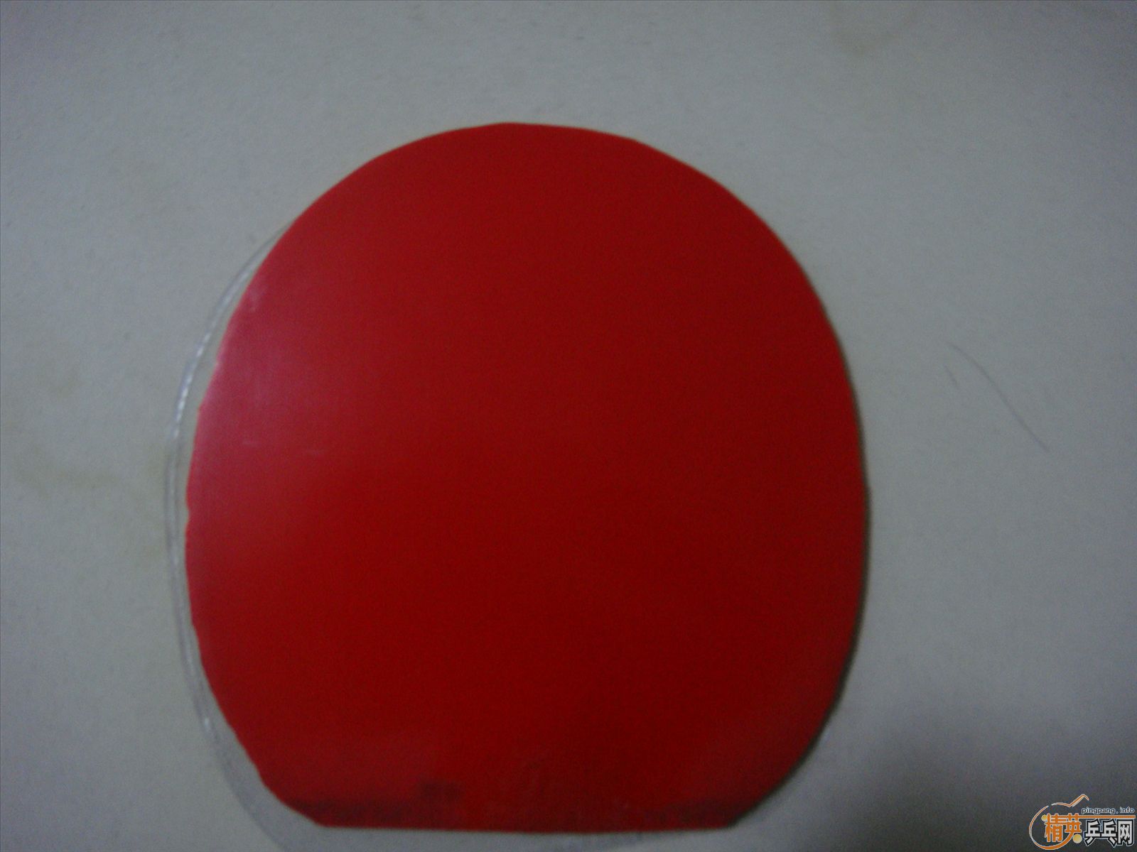 ���470,˹�Ŀ�����