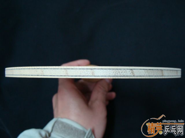 STIGA��ˮ��̼�ػ���