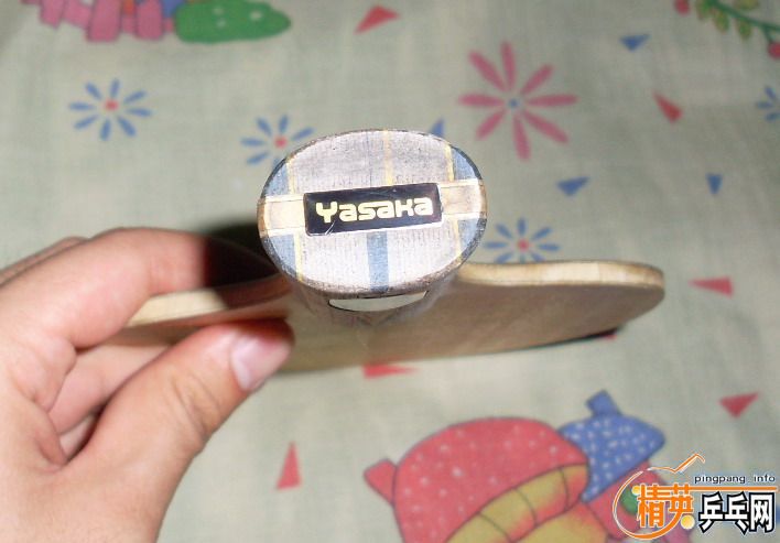 Yasaka YSC̼