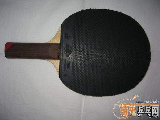 [ԭ��]ר�Ĵ����� ����֧�װ� �׽� ��