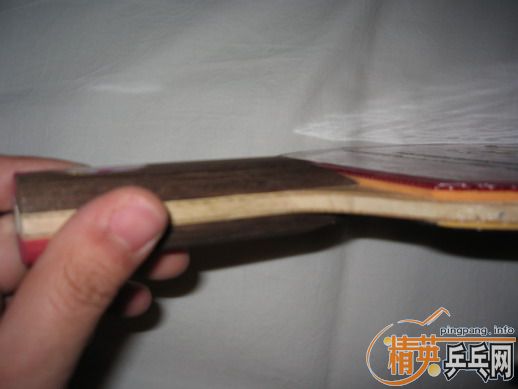 [ԭ��]ר�Ĵ����� ����֧�װ� �׽� ��