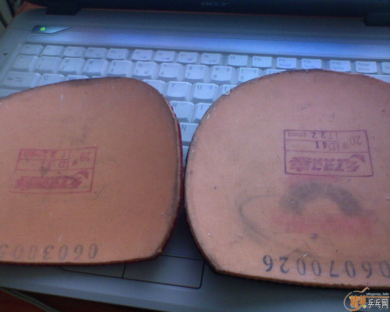 ���㲻�õĶ�����ʡ�񡿺�������U4��