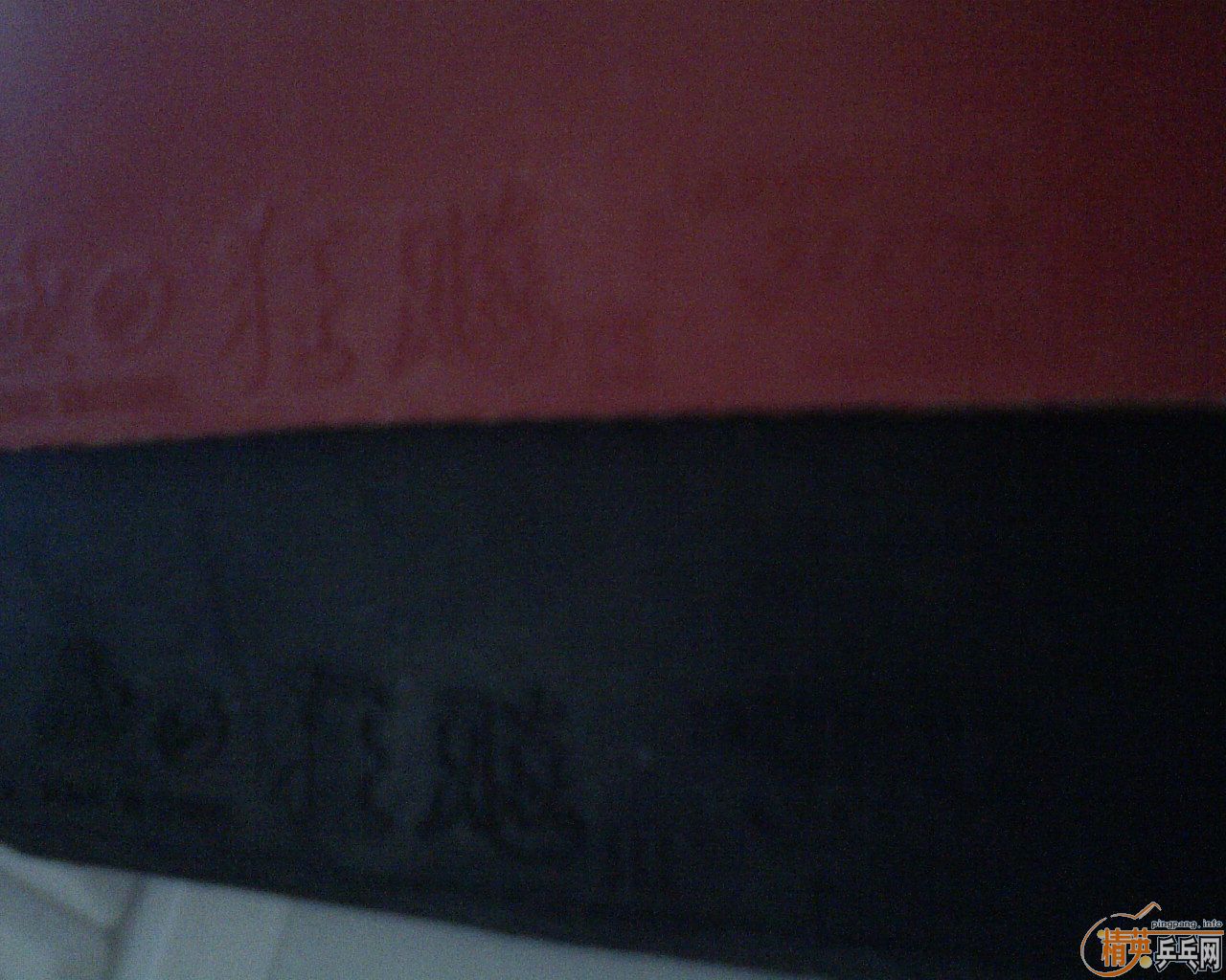 ���㲻�õĶ�����ʡ�񡿺�������U4��