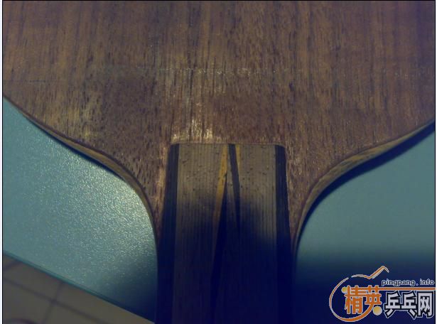 9����YEO��Ǯ����̼