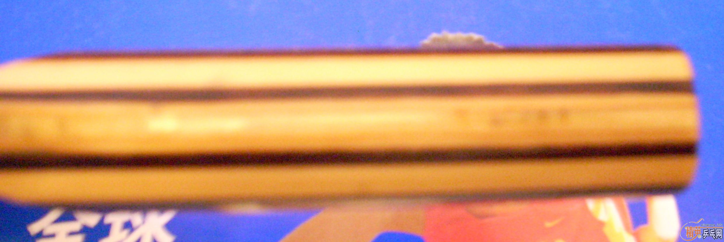 ��һ��NITTAKU���,400Ԫ�����