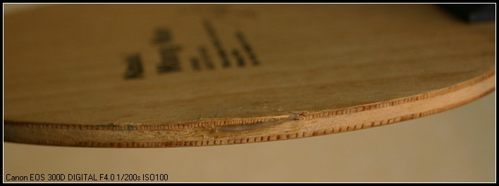 ��������������骺���̼