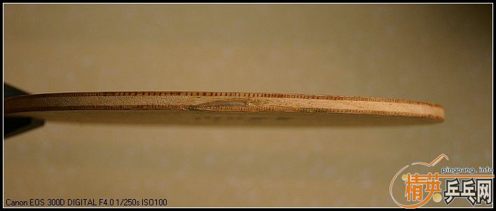 ��������������骺���̼