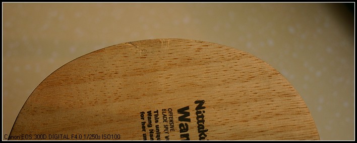 ��������������骺���̼