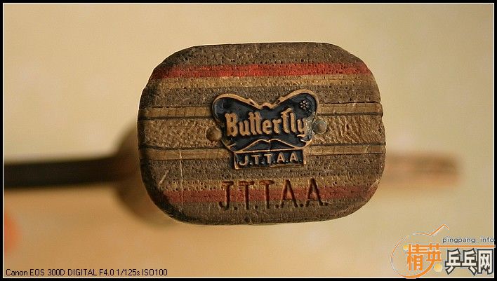 ��������������骺���̼