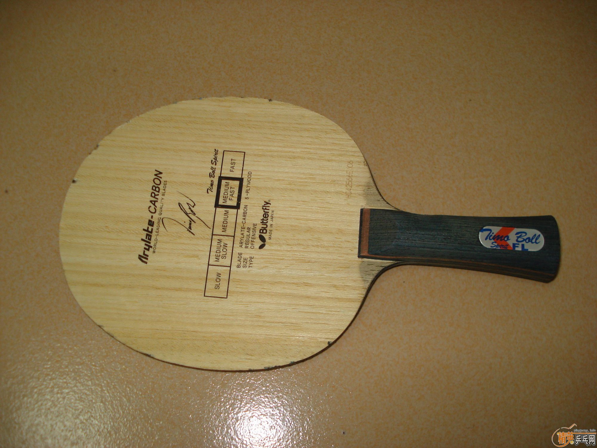 ���˳��²�����̿