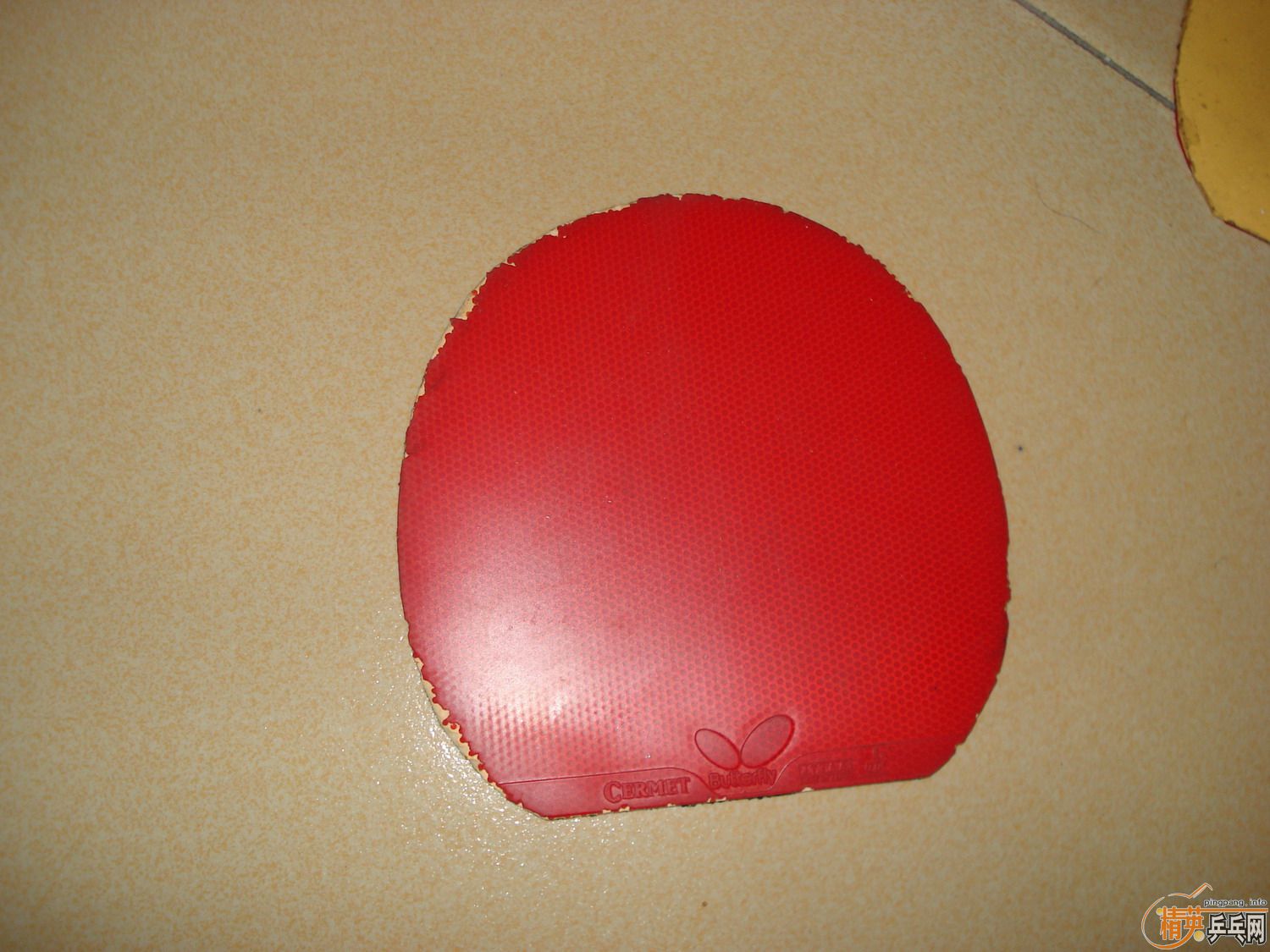 ���˳��²�����̿