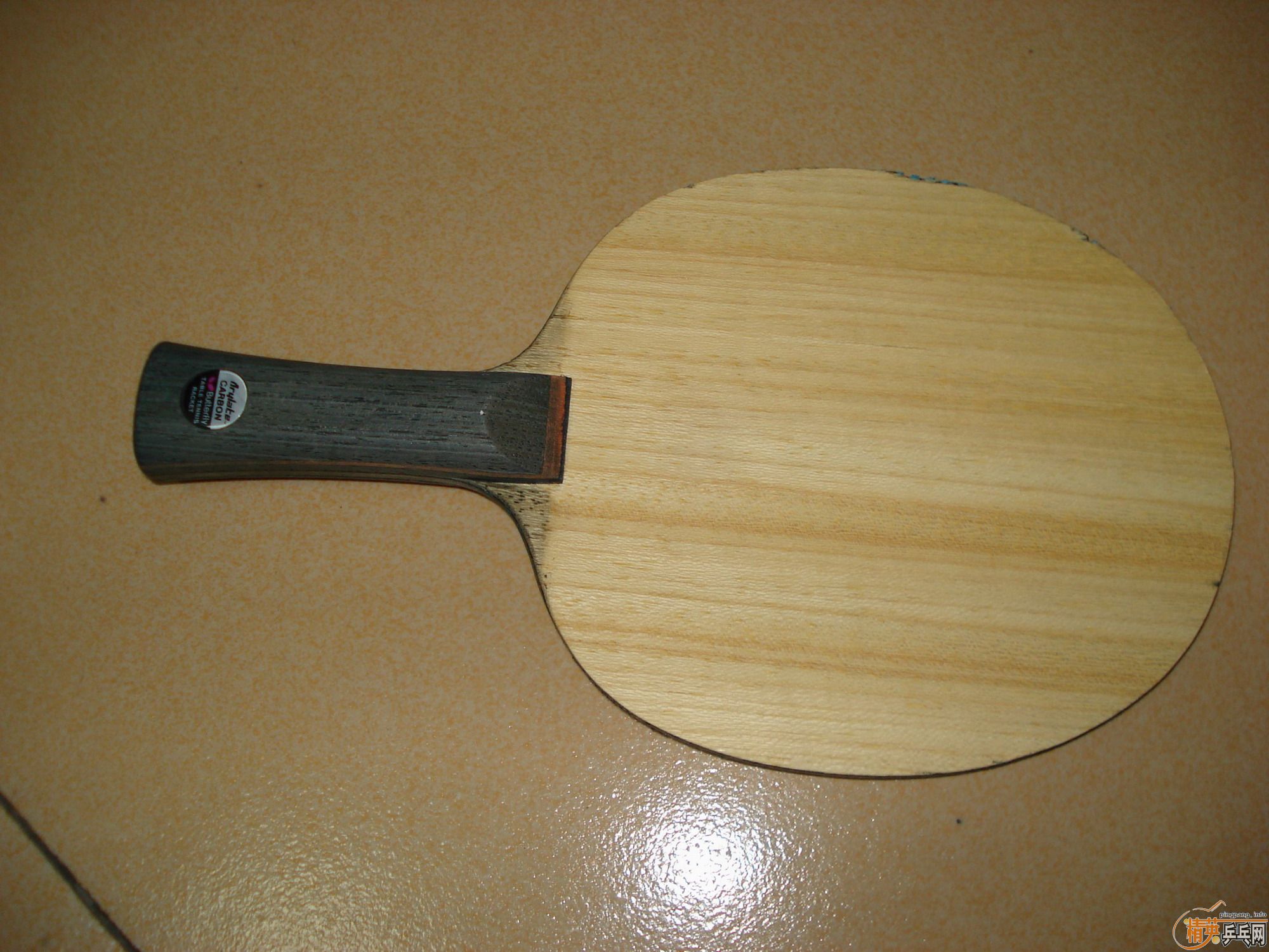 ���˳��²�����̿