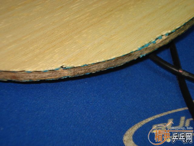 ���˳��²�����̿