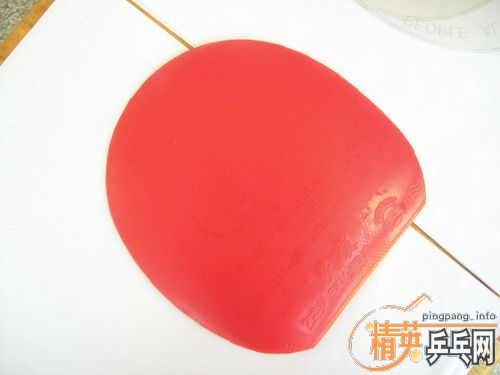 ����TO���Ͽ�