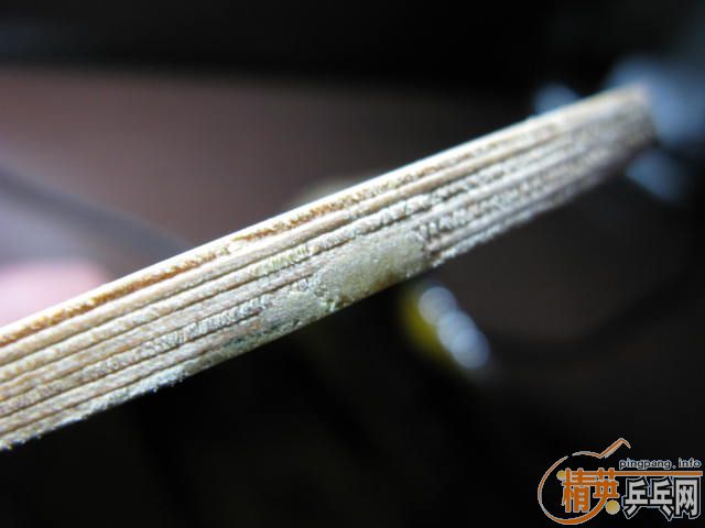 �������,תһ�����Ƽ�߲㴿ľ��,30Ԫ����