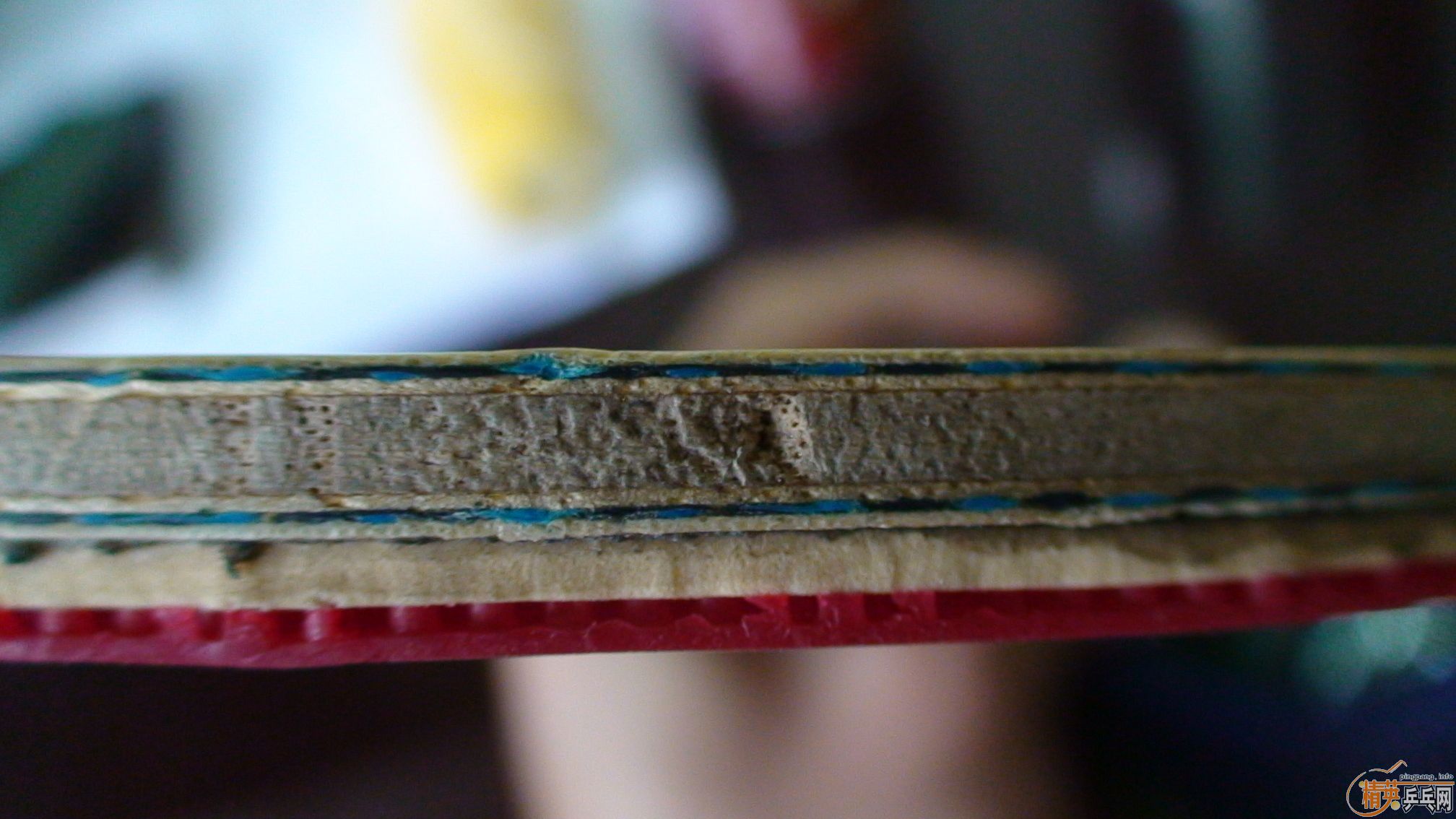 ���������ɣ�����������9����BOLLֱ��