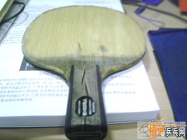 ֱ��YCA����