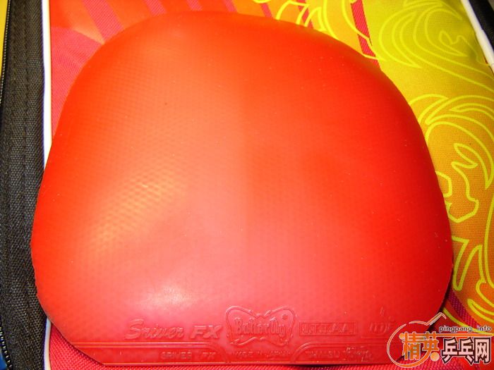 ʡ���DONIC �·������ 90Ԫ���ʣ�