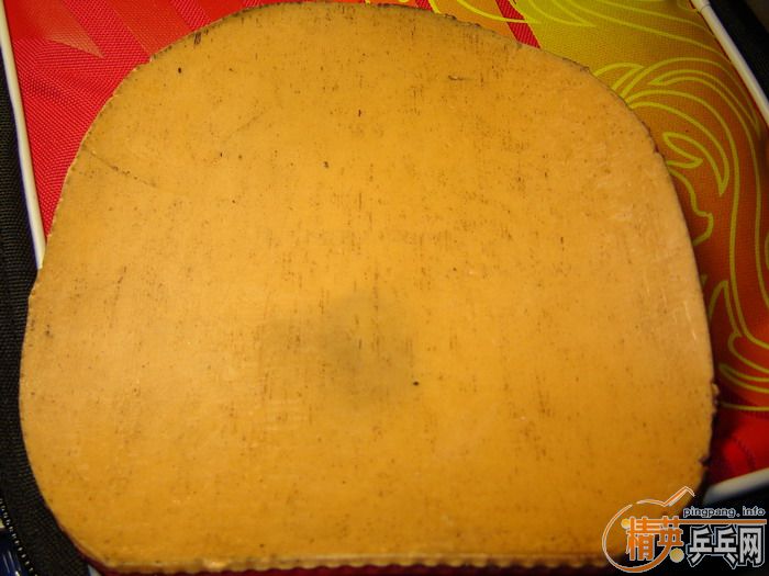 ʡ���DONIC �·������ 90Ԫ���ʣ�