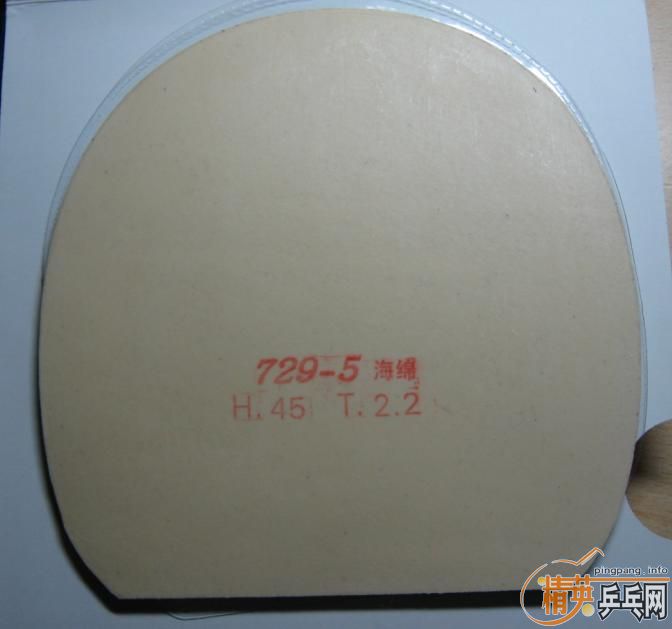 ֱ����9.5�µ�729-5+���VLONS�׽�����60Ԫ