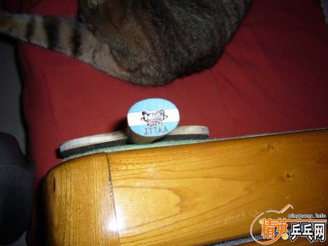 [ԭ��]���������� �� ������ҹ ���ֵ������Լ������ձ�Ʒ���˶�Ьһ˫��