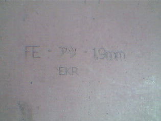 ������EKRIPS(100�����)